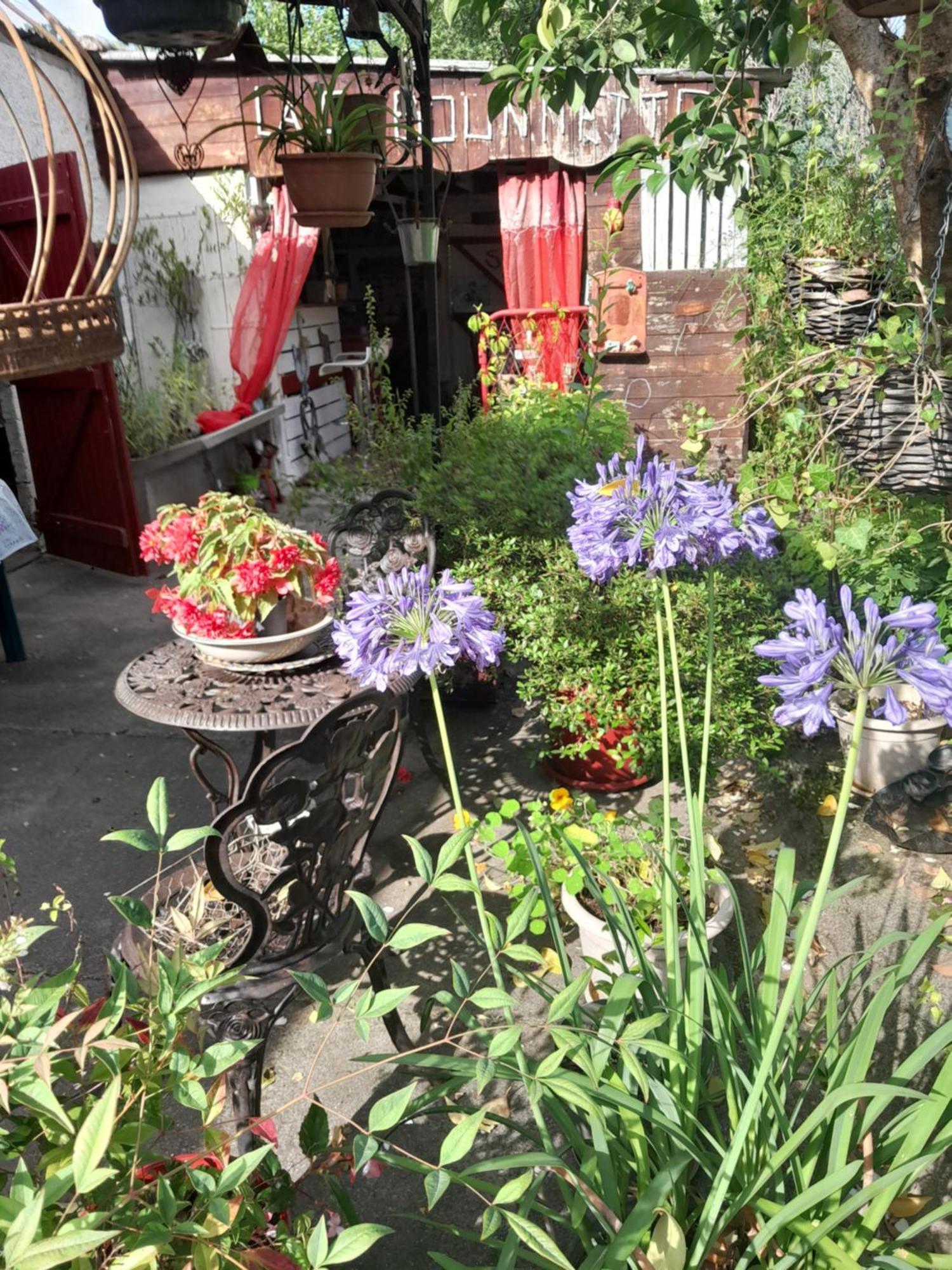 Chambre D'Hote Amitie Et Jardin Carmaux Экстерьер фото